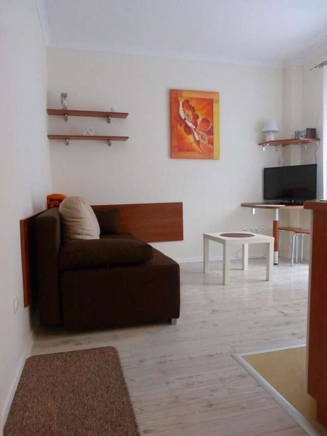 Апартаменты Apartament 210 Крыница-Здруй-13