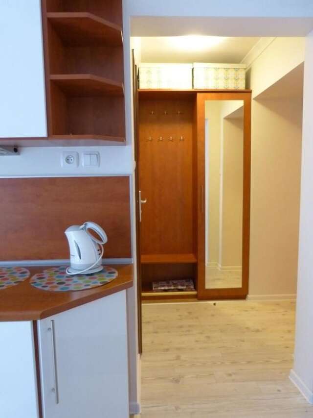 Апартаменты Apartament 210 Крыница-Здруй-18